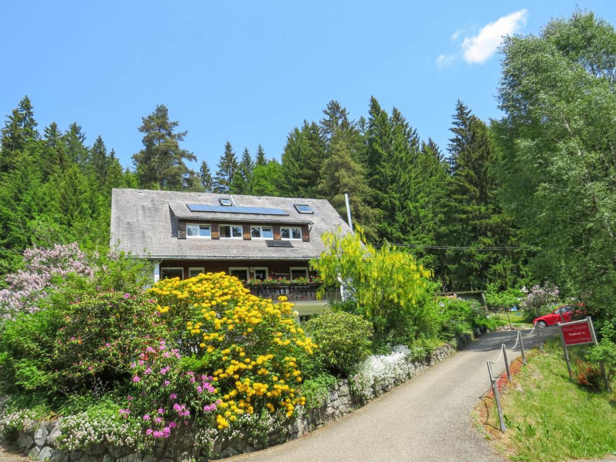 Apartment Haus Ganter By Interhome Hinterzarten Kültér fotó